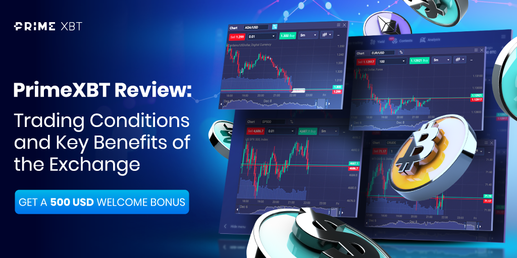 Trading on PrimeXBT Turkey Your Guide to Successful Investments